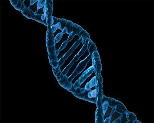 代孕包生女孩-试管移植后可以吃大豆异黄酮吗？试管移植前能吃三七粉吗？