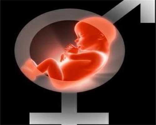 代生儿子收费-红心柚子孕妇可以吃吗