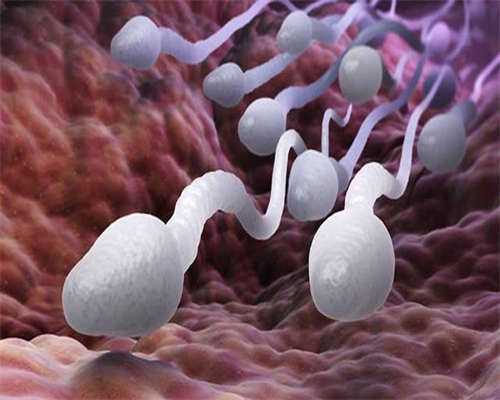 哈萨克斯坦试管婴儿预约电话