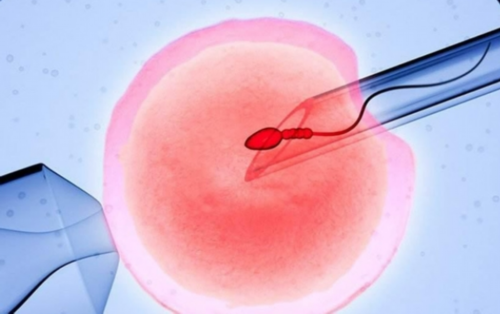 供卵代生网-促排卵针的作用和危害有哪些？促排卵针对身体有什么伤害？