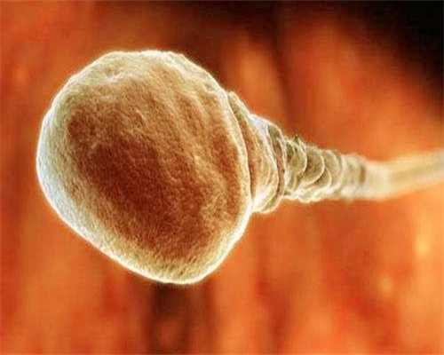 孕早期孕酮低正常吗孕早期孕酮多少算正常